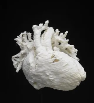 3D-printed heart